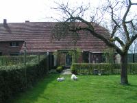 Klik op de foto voor groter formaat